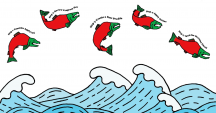 Jumping salmon illustration