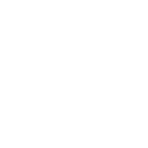 Vancouver Foundation is a sector champion member of Imagine Canada