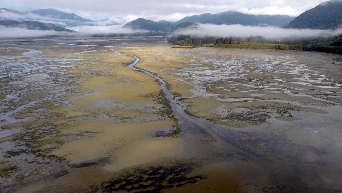 A large body of water with brownish-grey scum floating on top