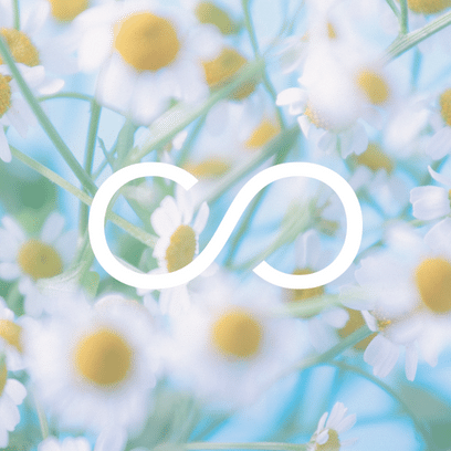 Vancouver Foundation logo over a blurred background of daisies as a placeholder for Julia's headshot.