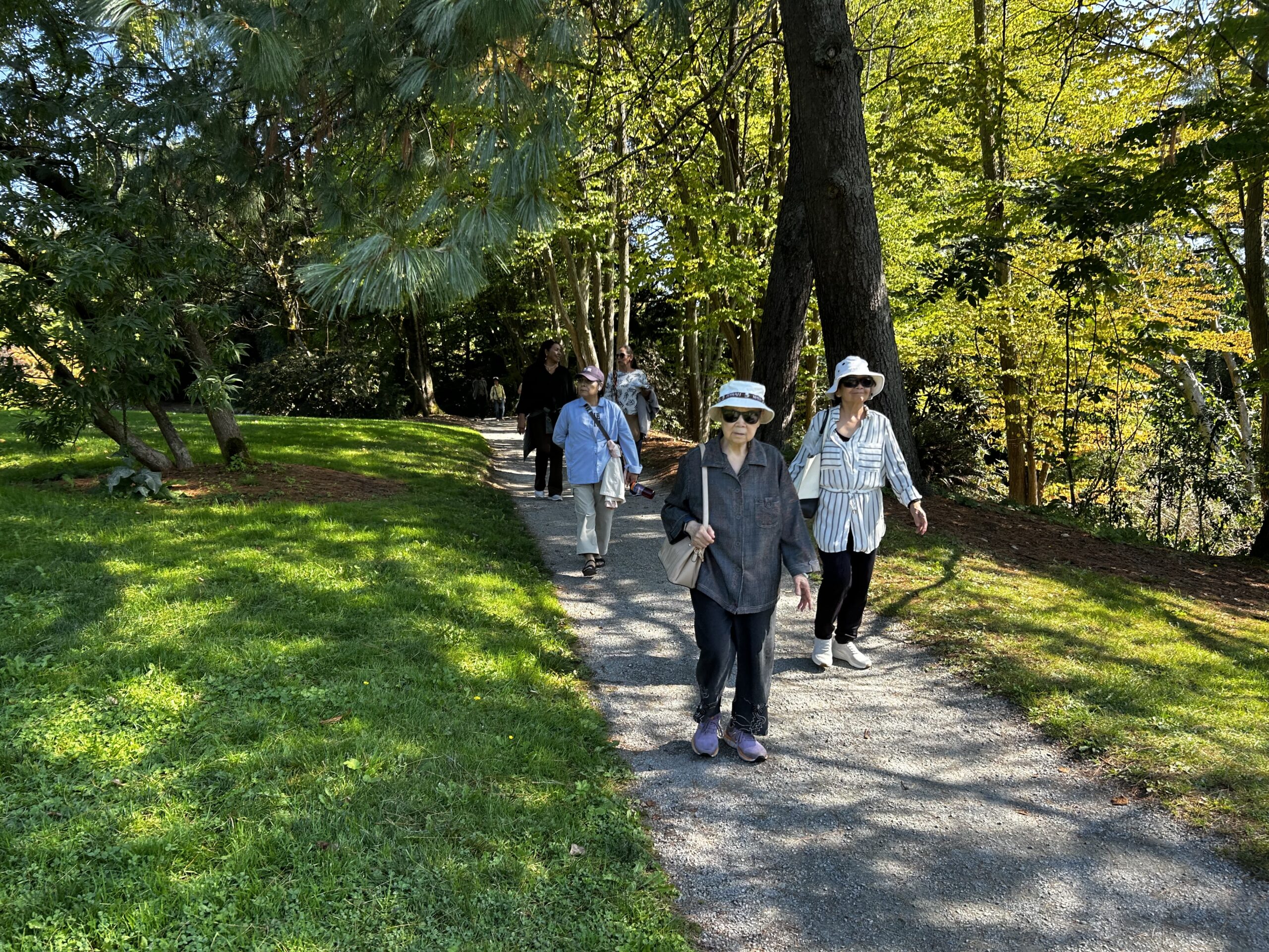 A group of three elderly people walk in the park.