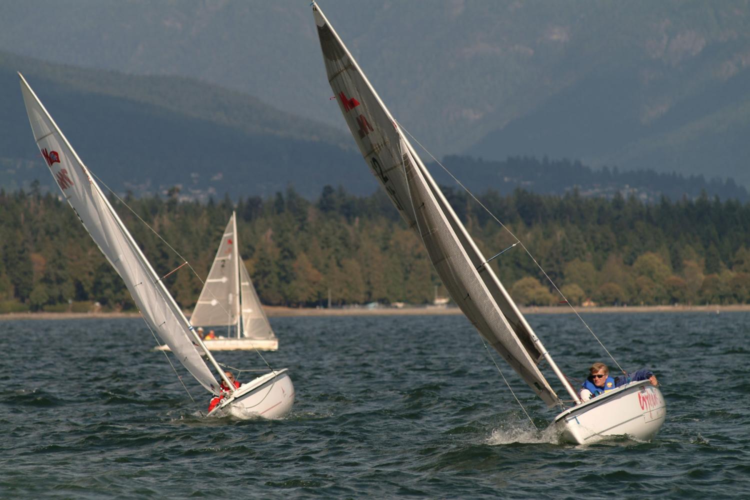 Two men racing in sailboats