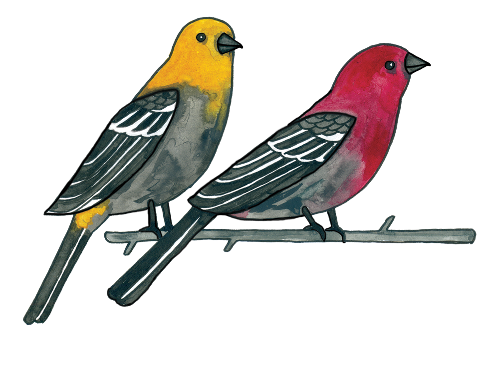 Swiilawiid Logo, two birds on a tree branch